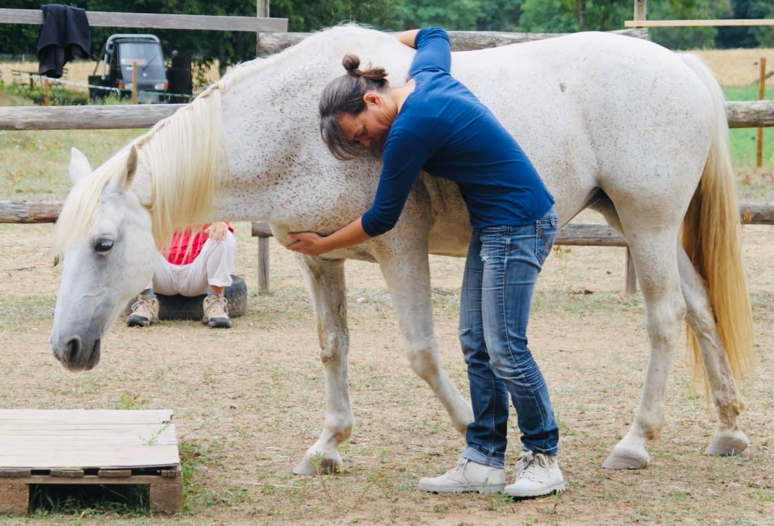 pratiquer la communication animale avec l’enseignement des chevaux
